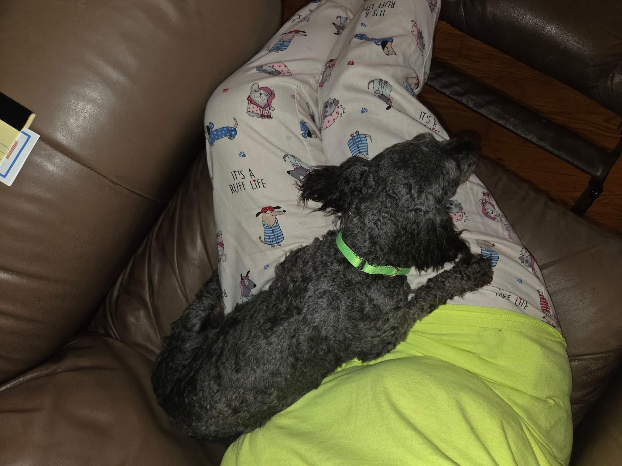Junebug “Junie”