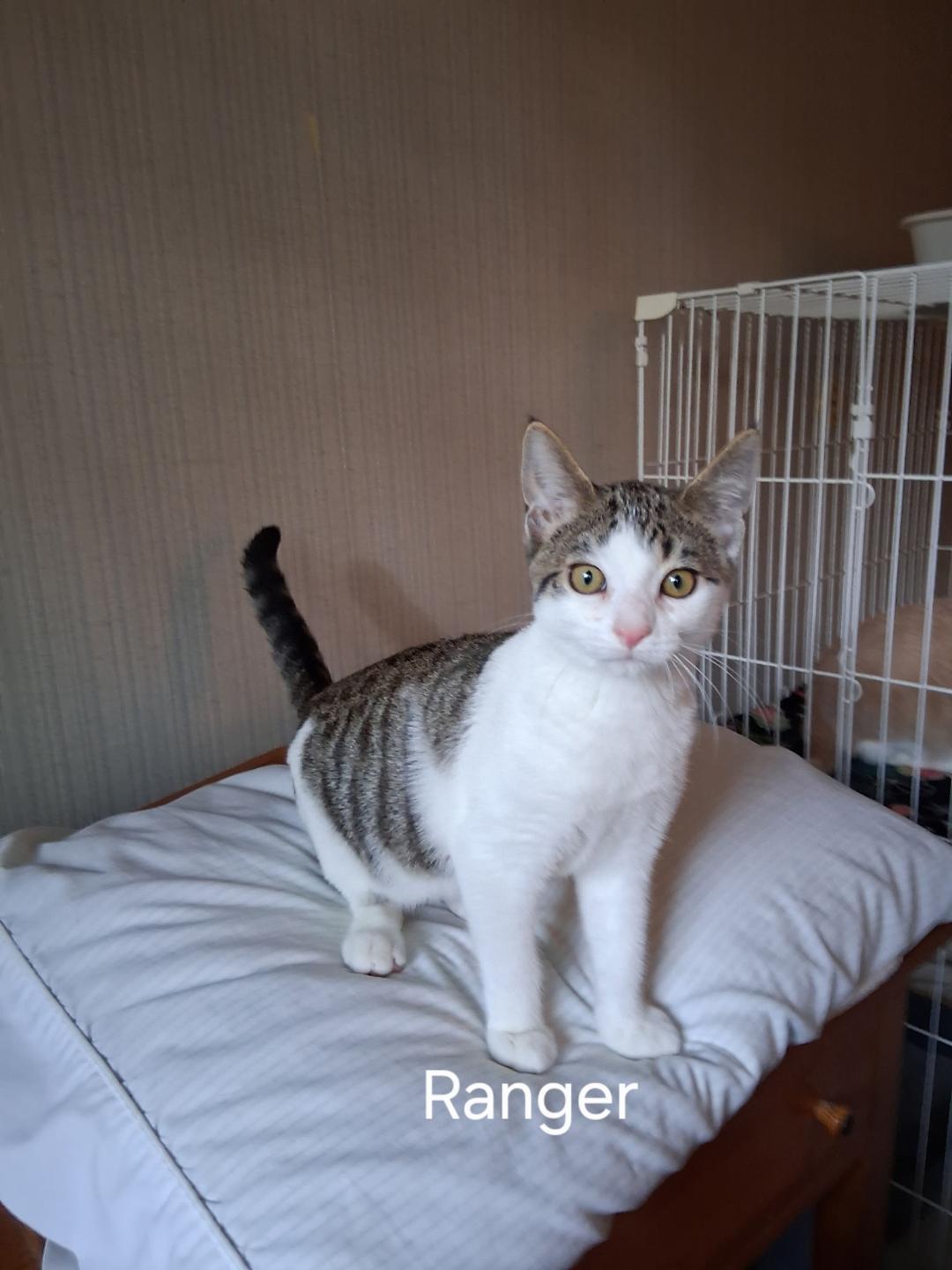 Ranger