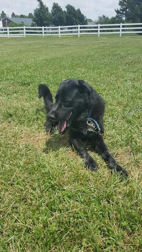 MARVIN! photo 5