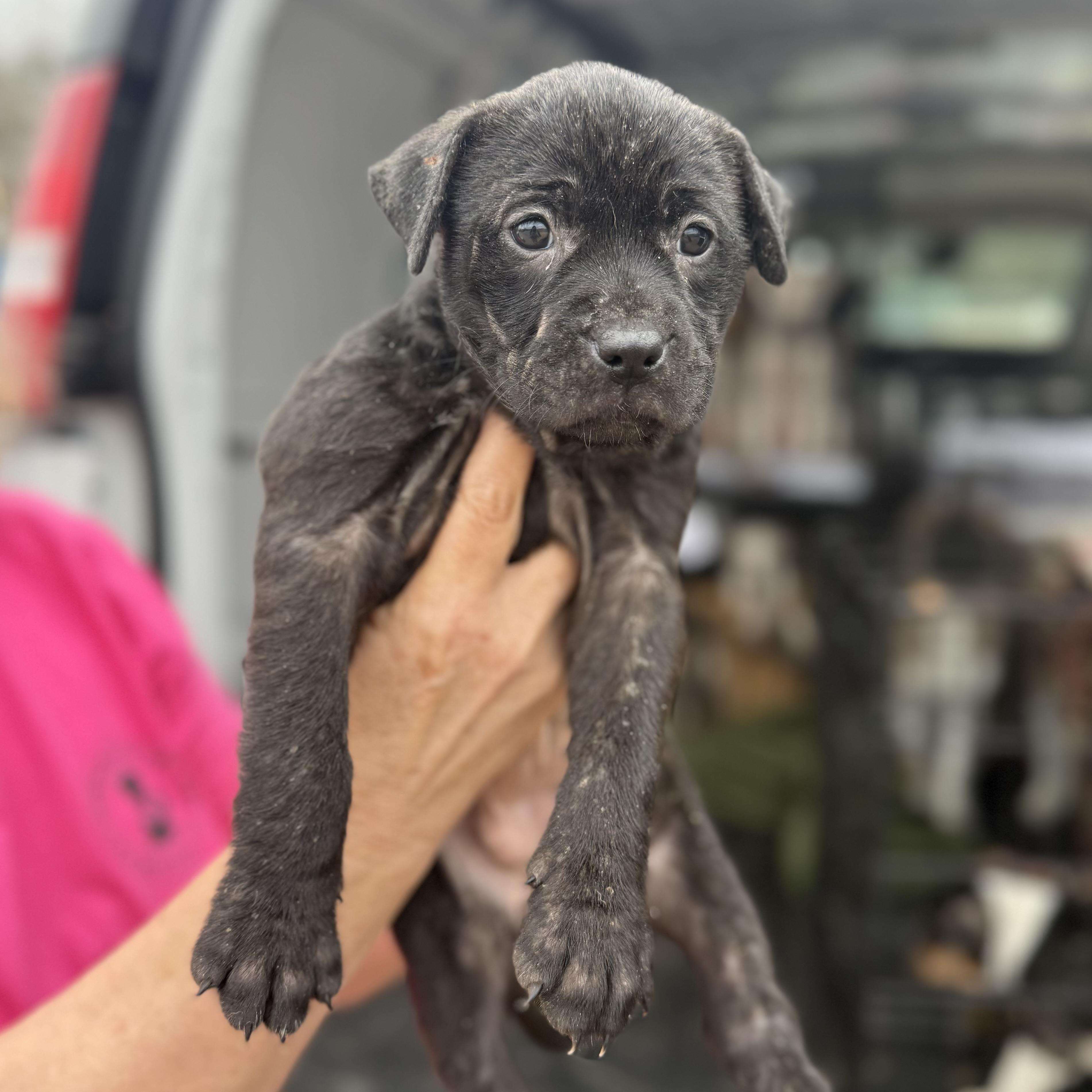 Multiplication — thumbnail 3