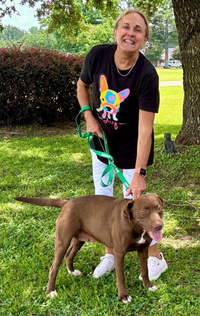 Enlarge Thumper 25, a Adoptable mixed breed in Brookhaven, MS image 2/5