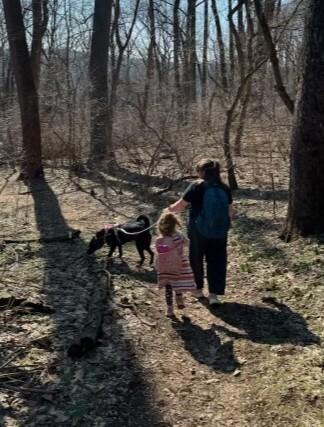 Enlarge Lucy, a Adoptable mixed breed in Lancaster, PA image 6/6