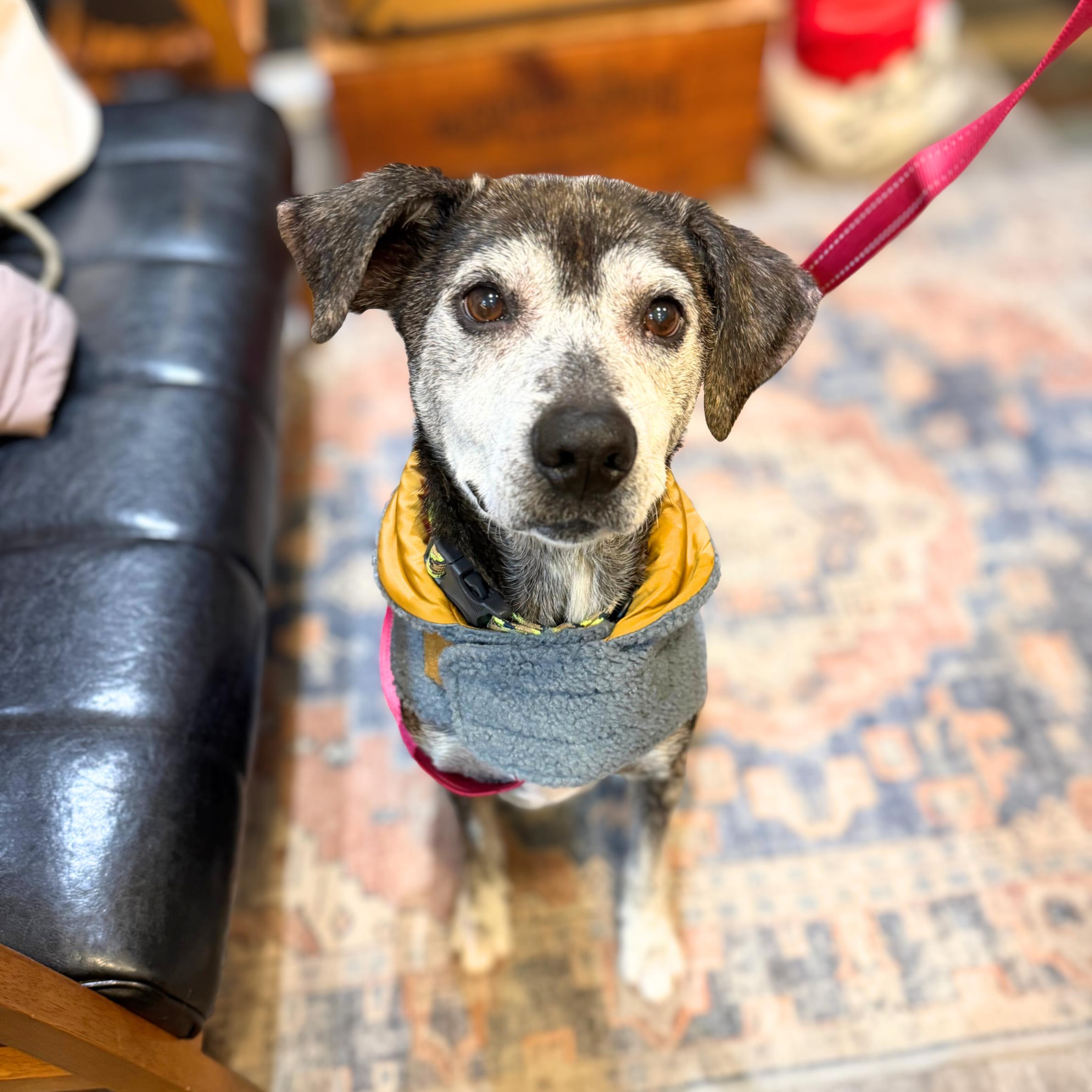 Chronos — thumbnail 5