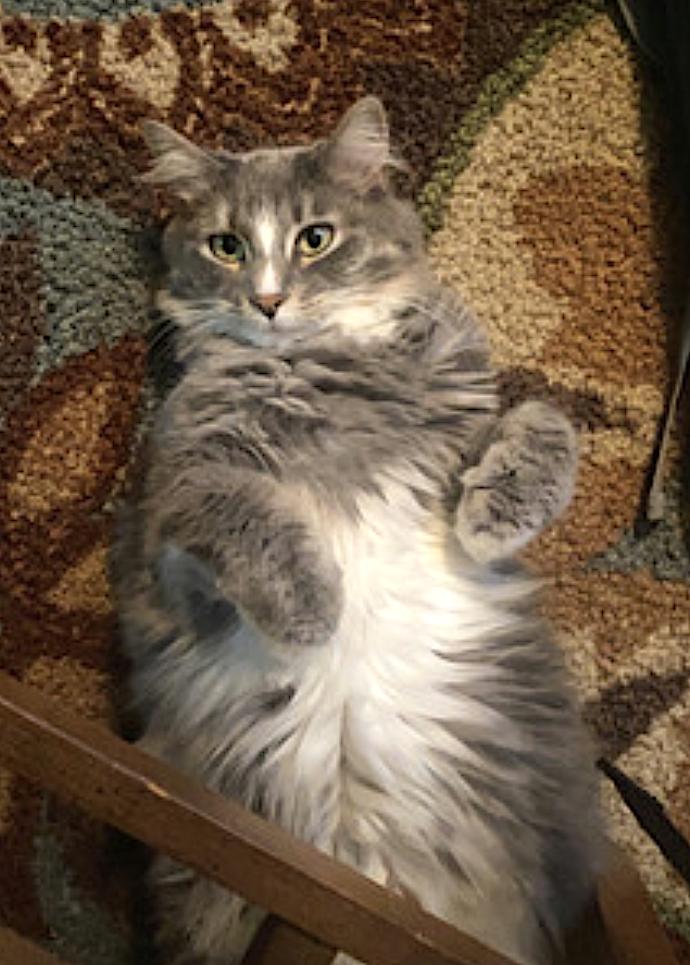 Pepper and Salt — thumbnail 4