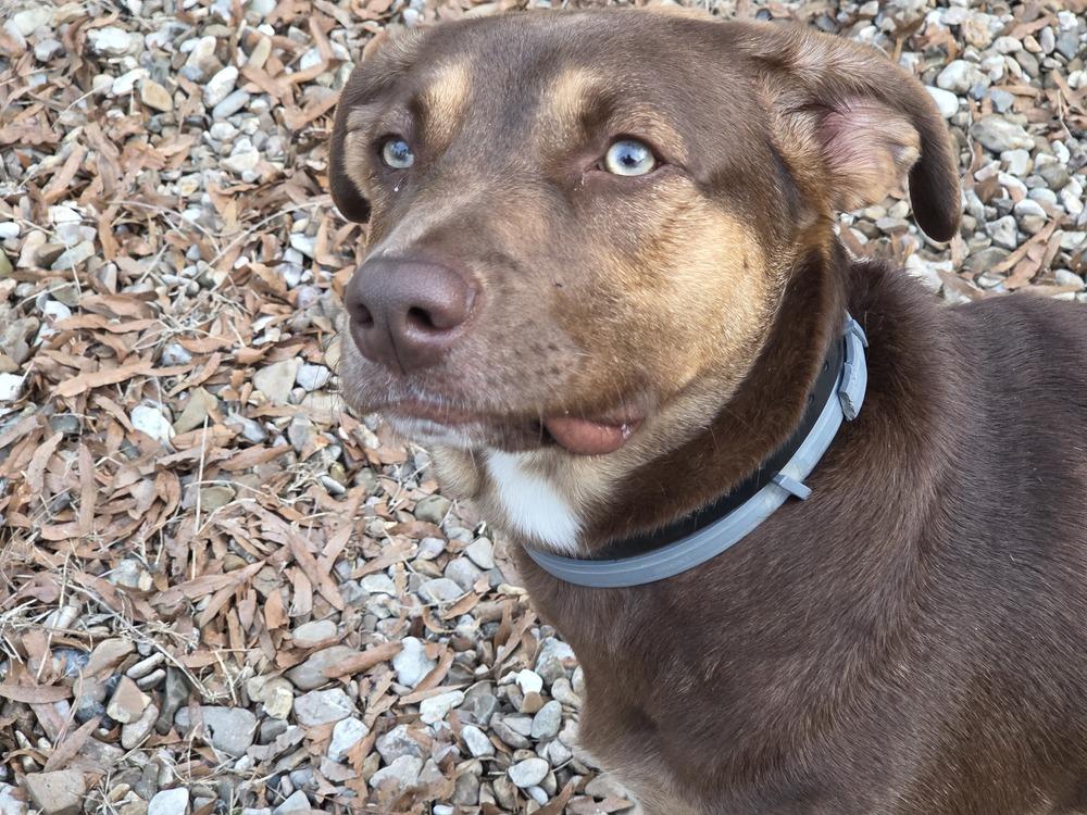 Steph — thumbnail 2