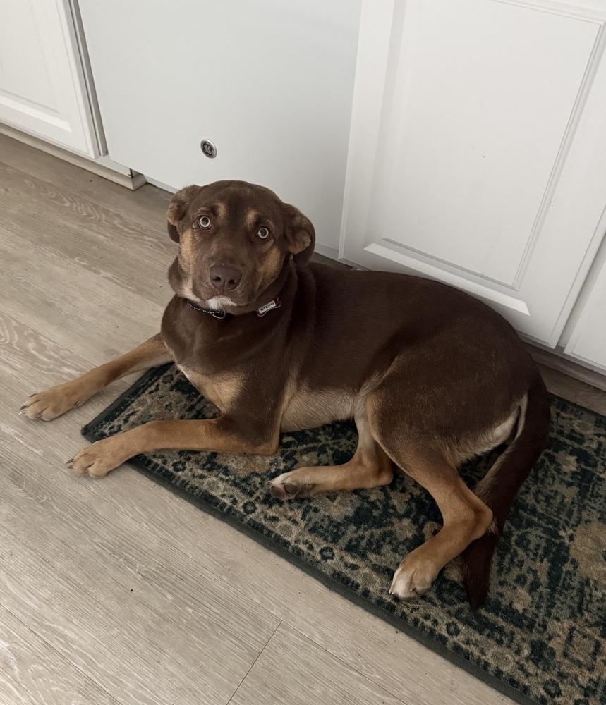 Steph — thumbnail 3