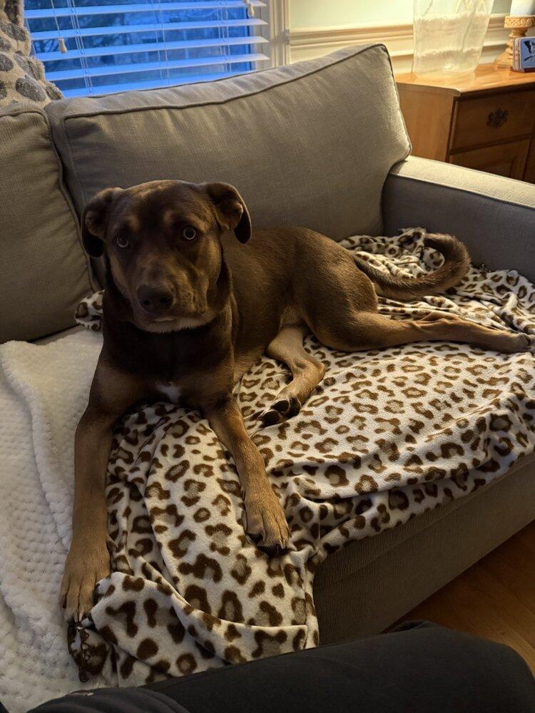 Steph — thumbnail 5