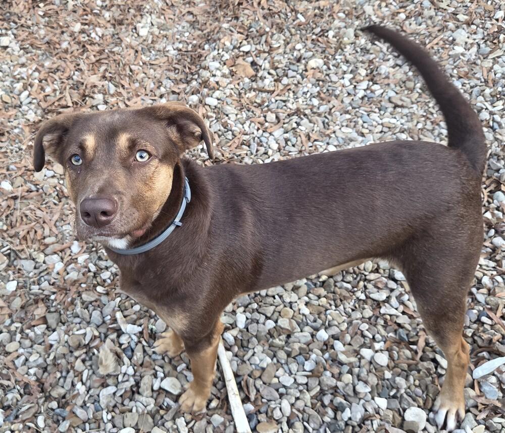 Steph — thumbnail 6