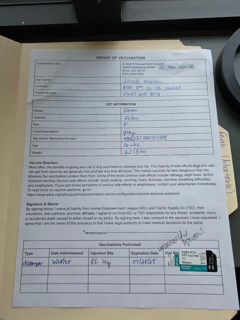 Enlarge Farah nka Blu, a Adopted mixed breed in Minot, ND image 3/4