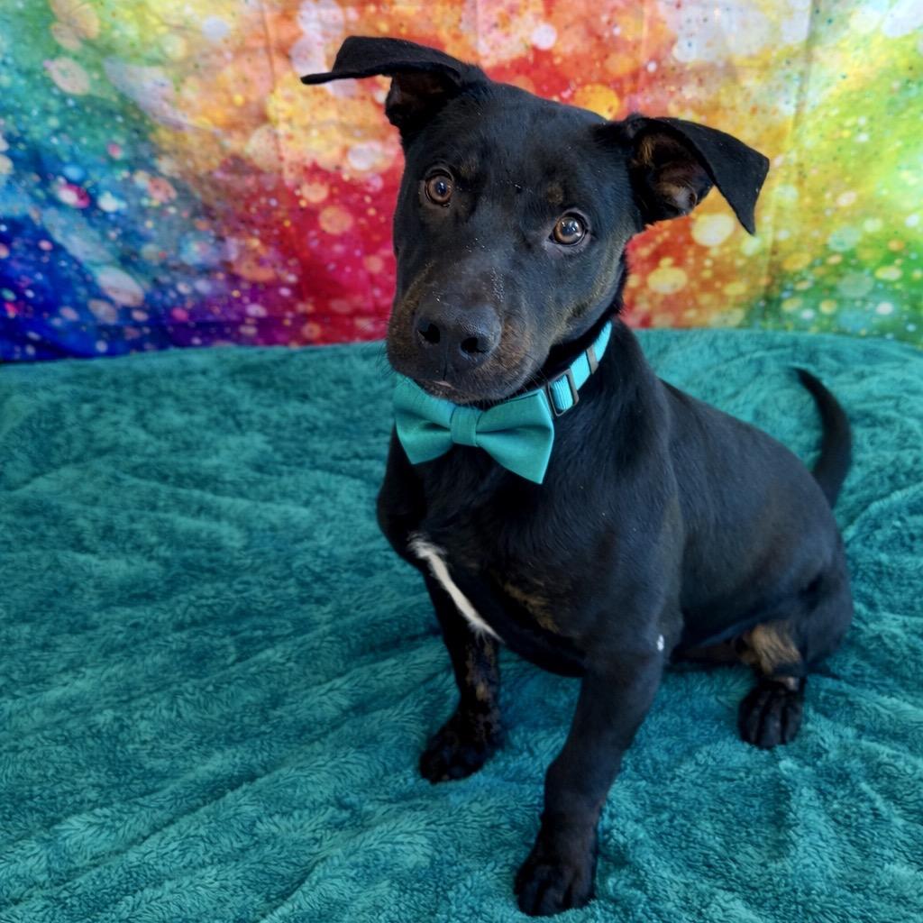 Rock — thumbnail 2