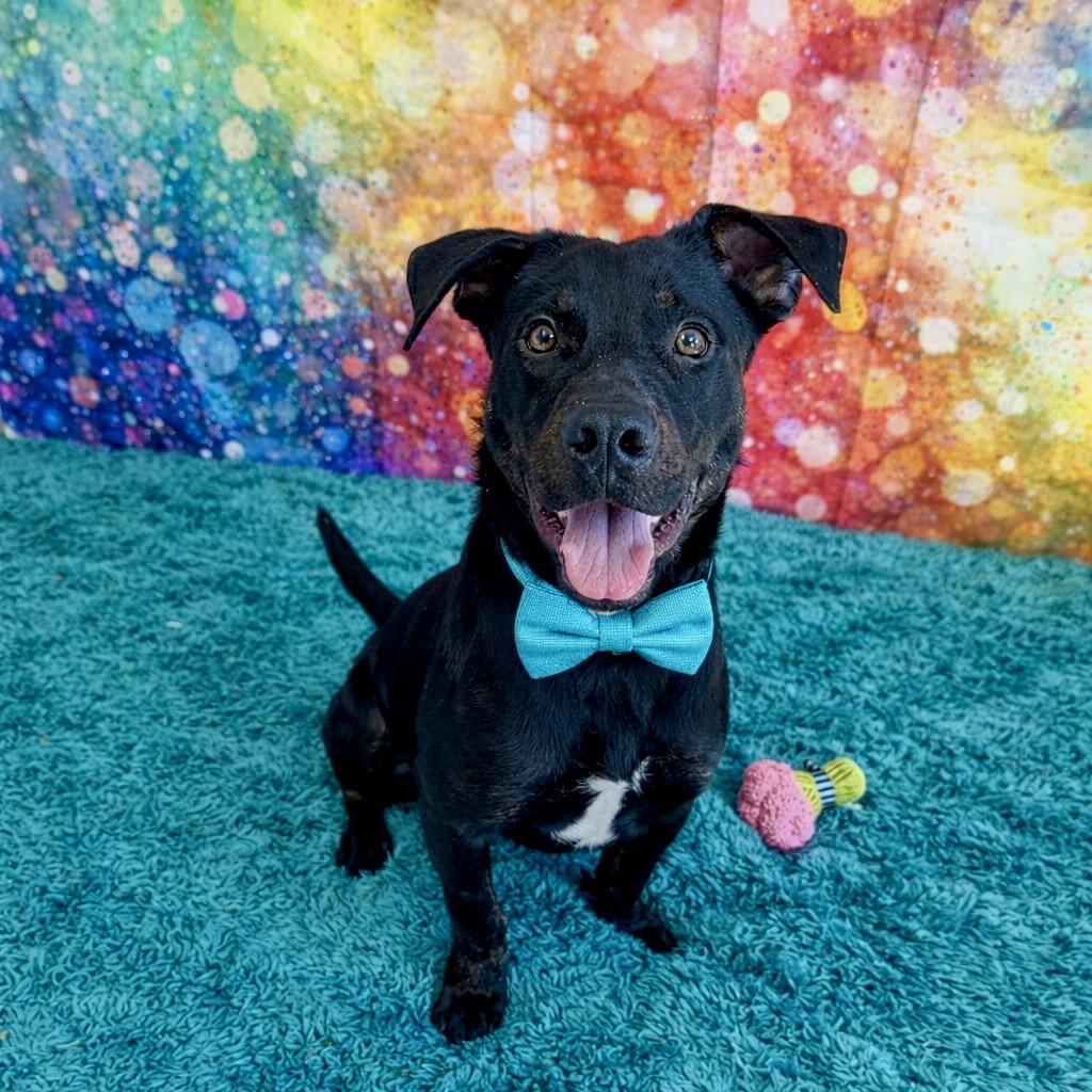 Rock — thumbnail 3