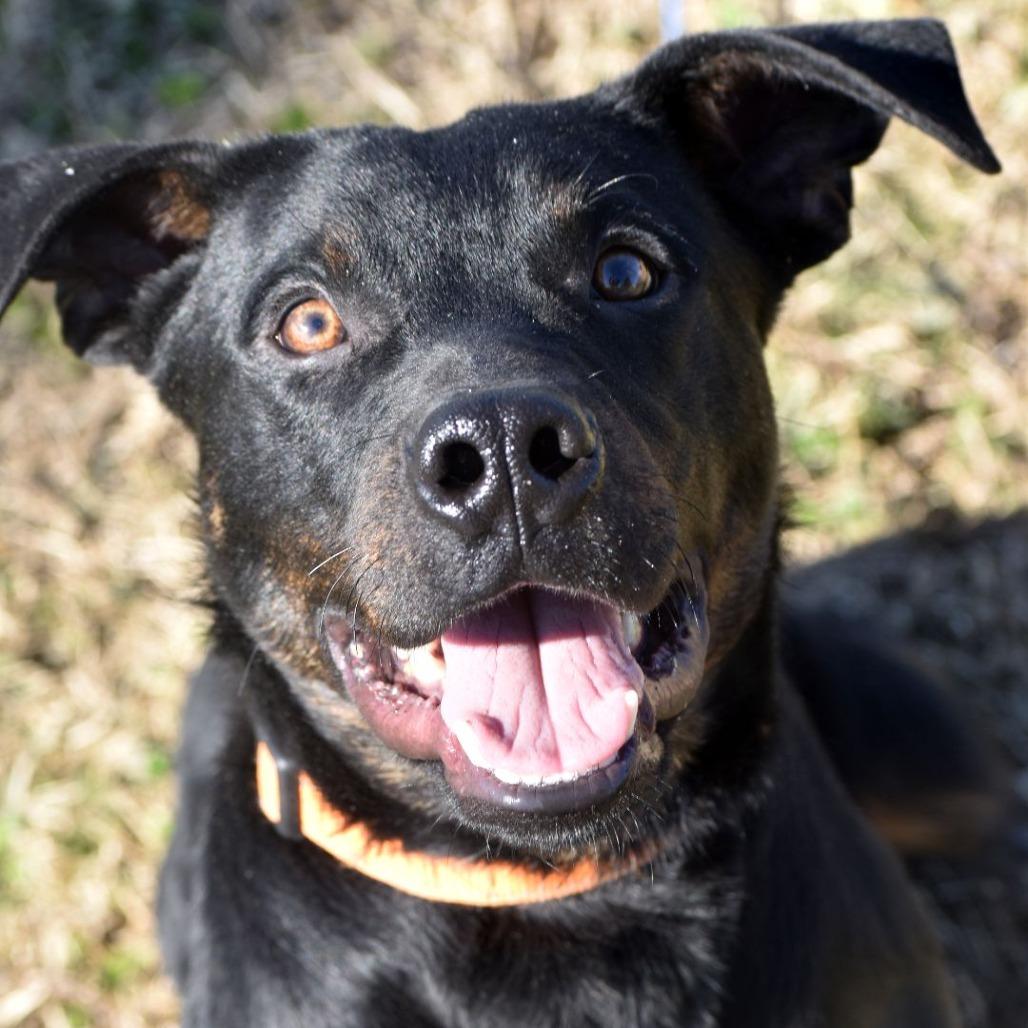 Rock — thumbnail 4