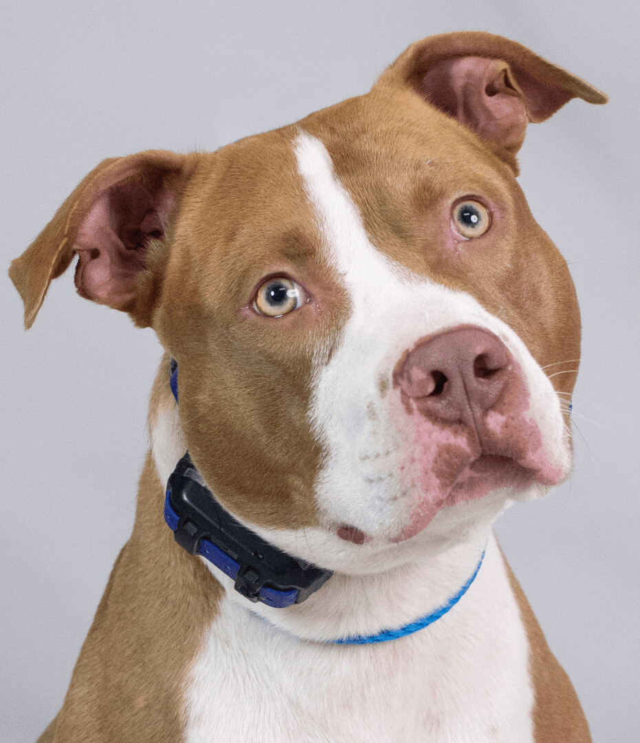 Kyree (ID 37594/667)