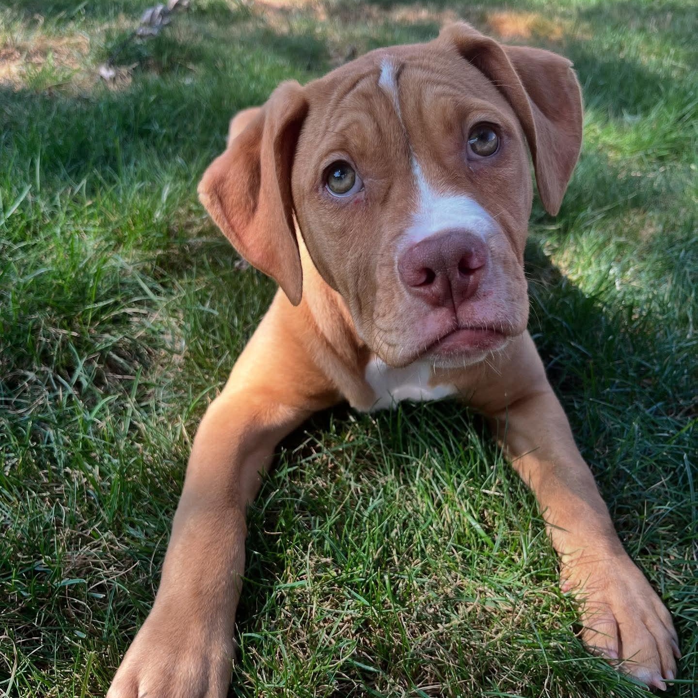 Ginny*, Baby Female unknown