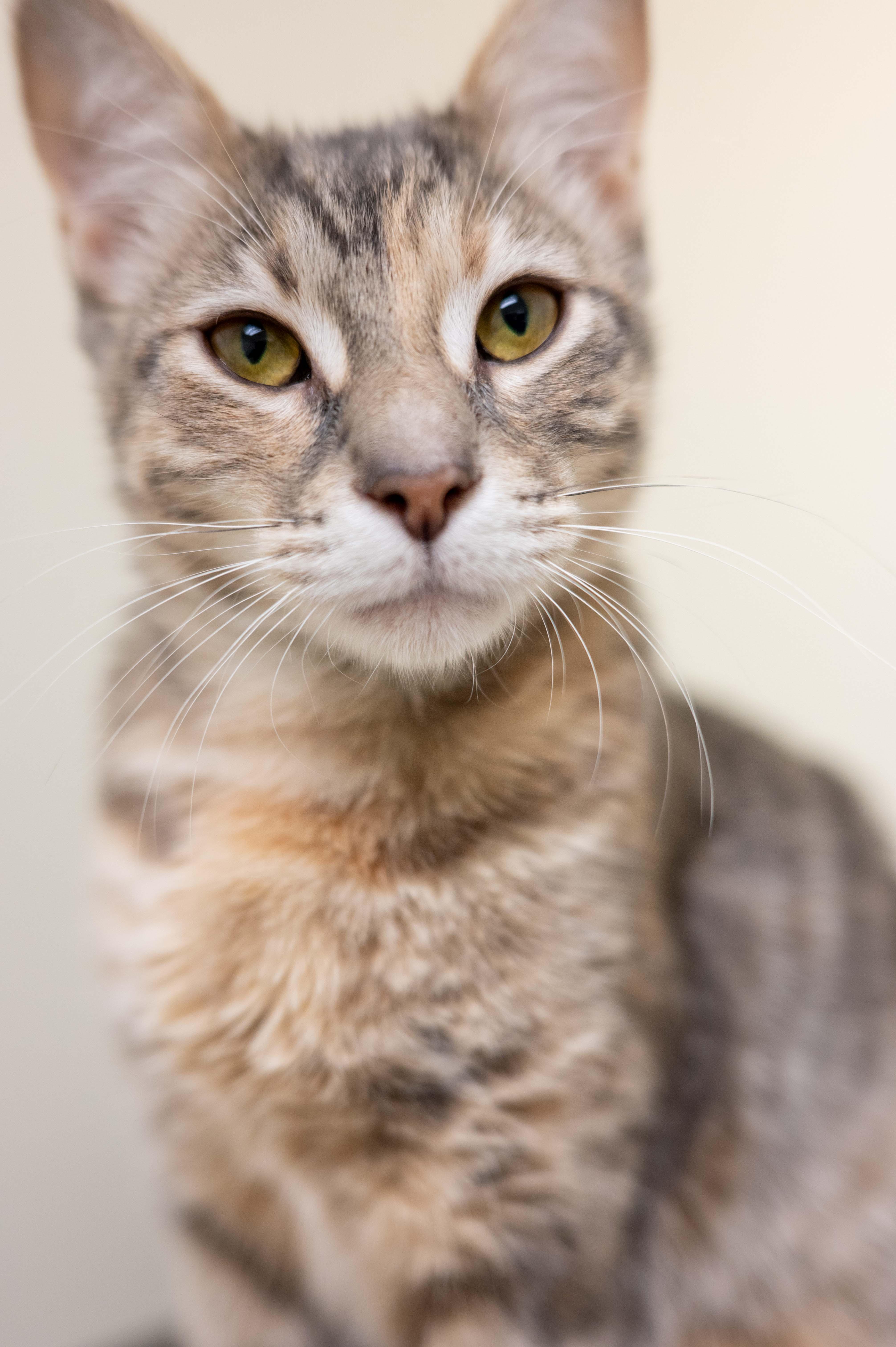 Claudia - friendly outgoing gorgeous girl! 5