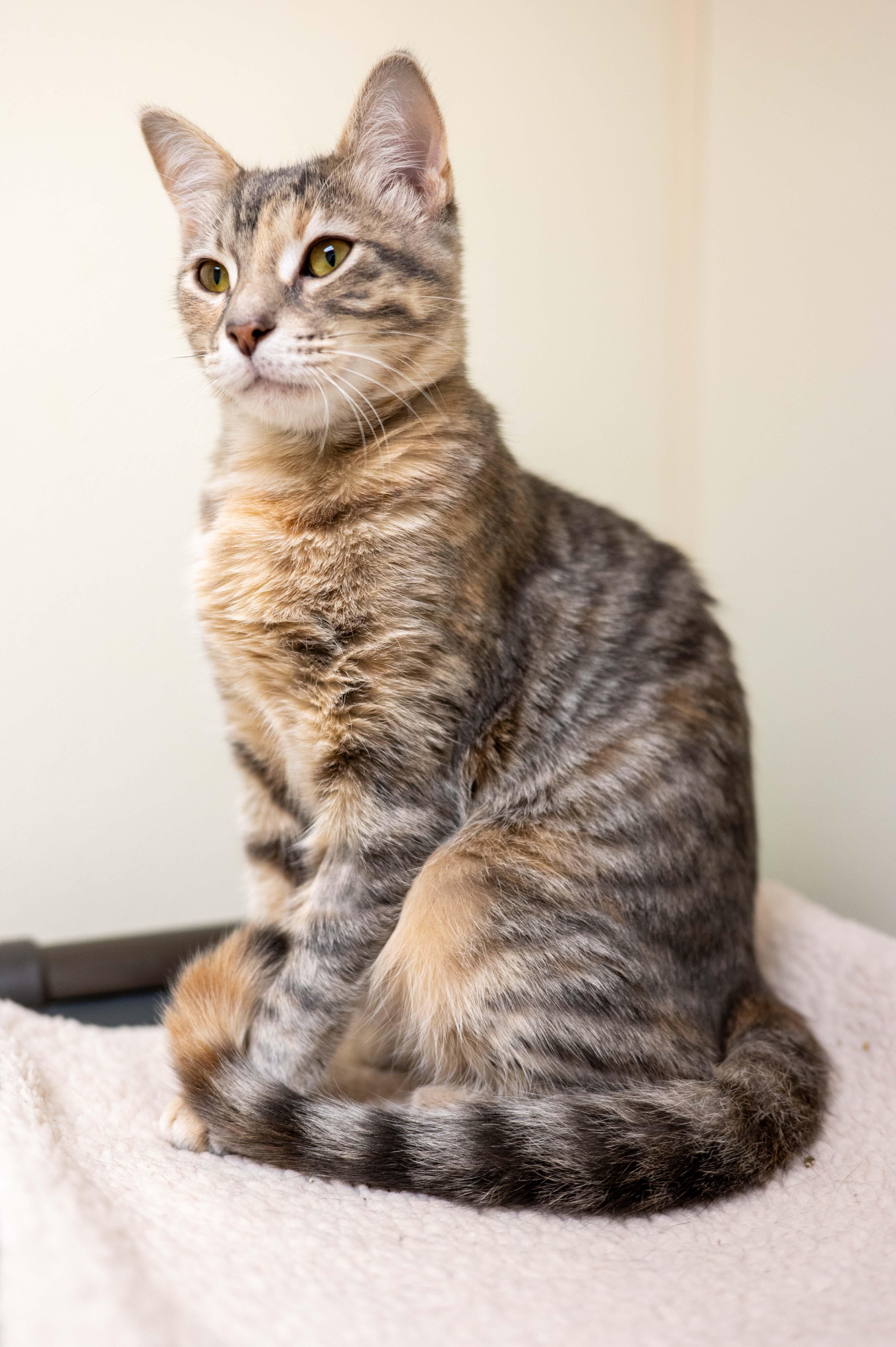 Claudia - friendly outgoing gorgeous girl! 4