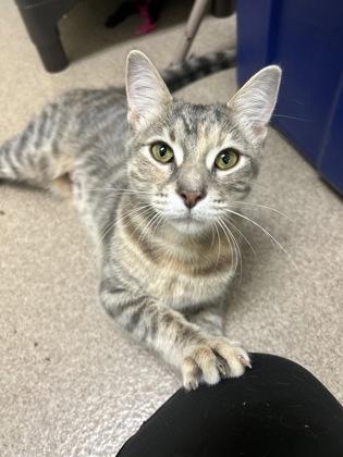 Claudia - friendly outgoing gorgeous girl! 2