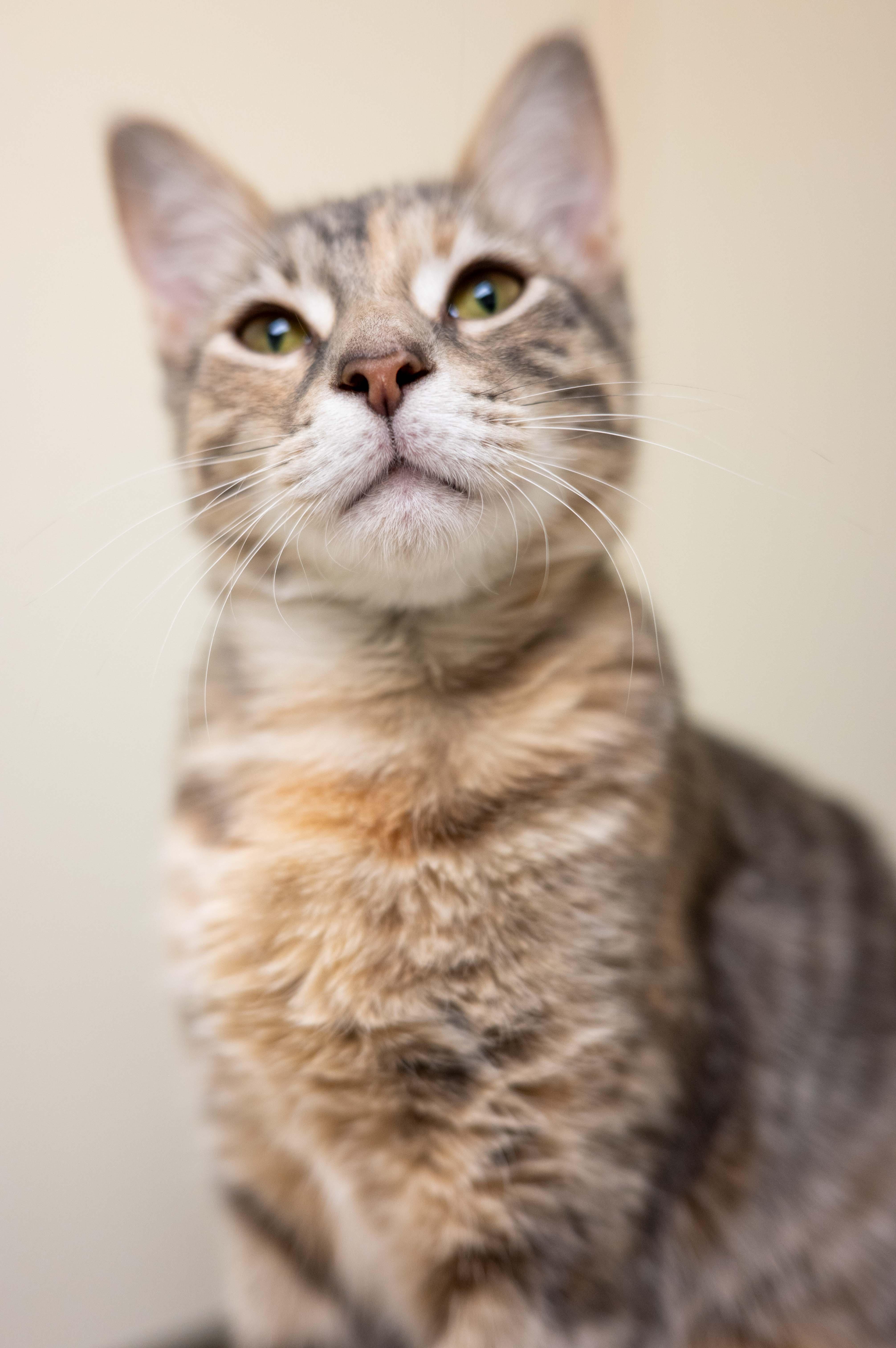 Claudia - friendly outgoing gorgeous girl! 3