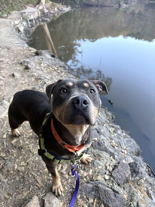 Lilah — thumbnail 4