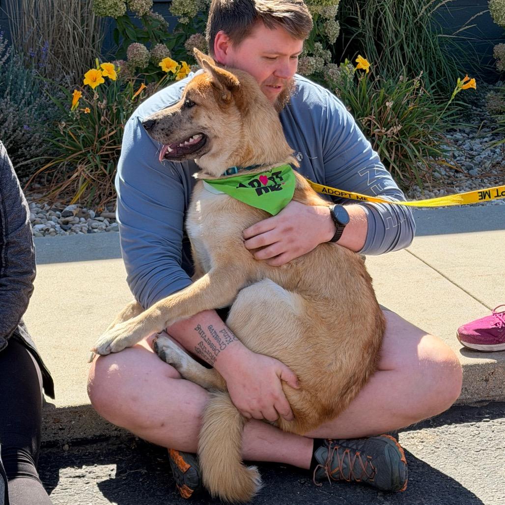 Enlarge Freckles, a Adoptable Mixed Breed in Nampa, ID image 6/6
