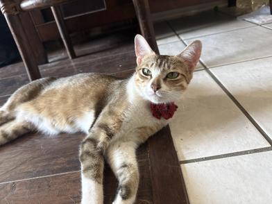 Misha — thumbnail 2