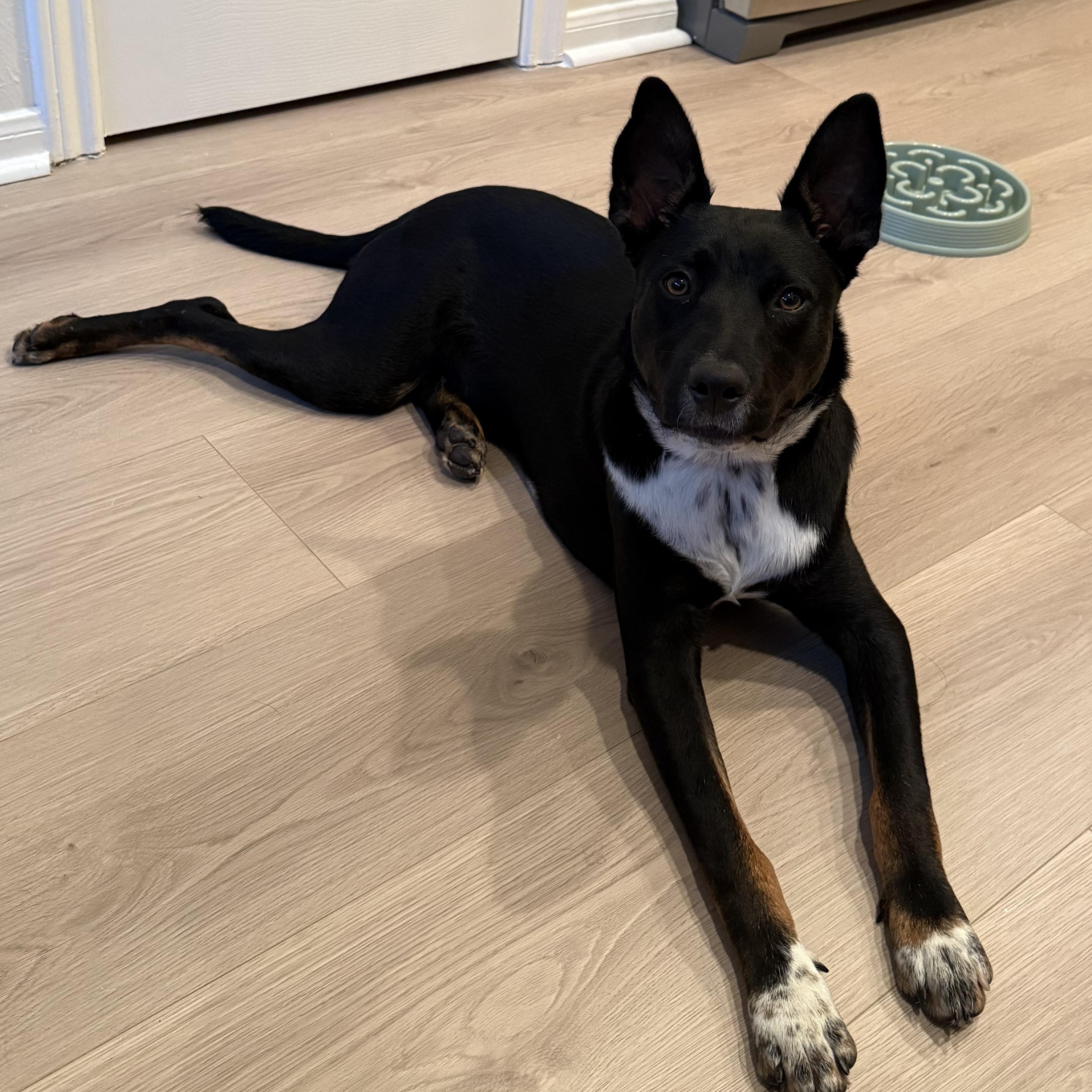 Paul — thumbnail 2