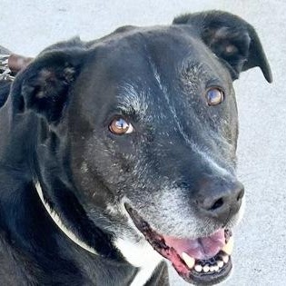 Burt photo 2
