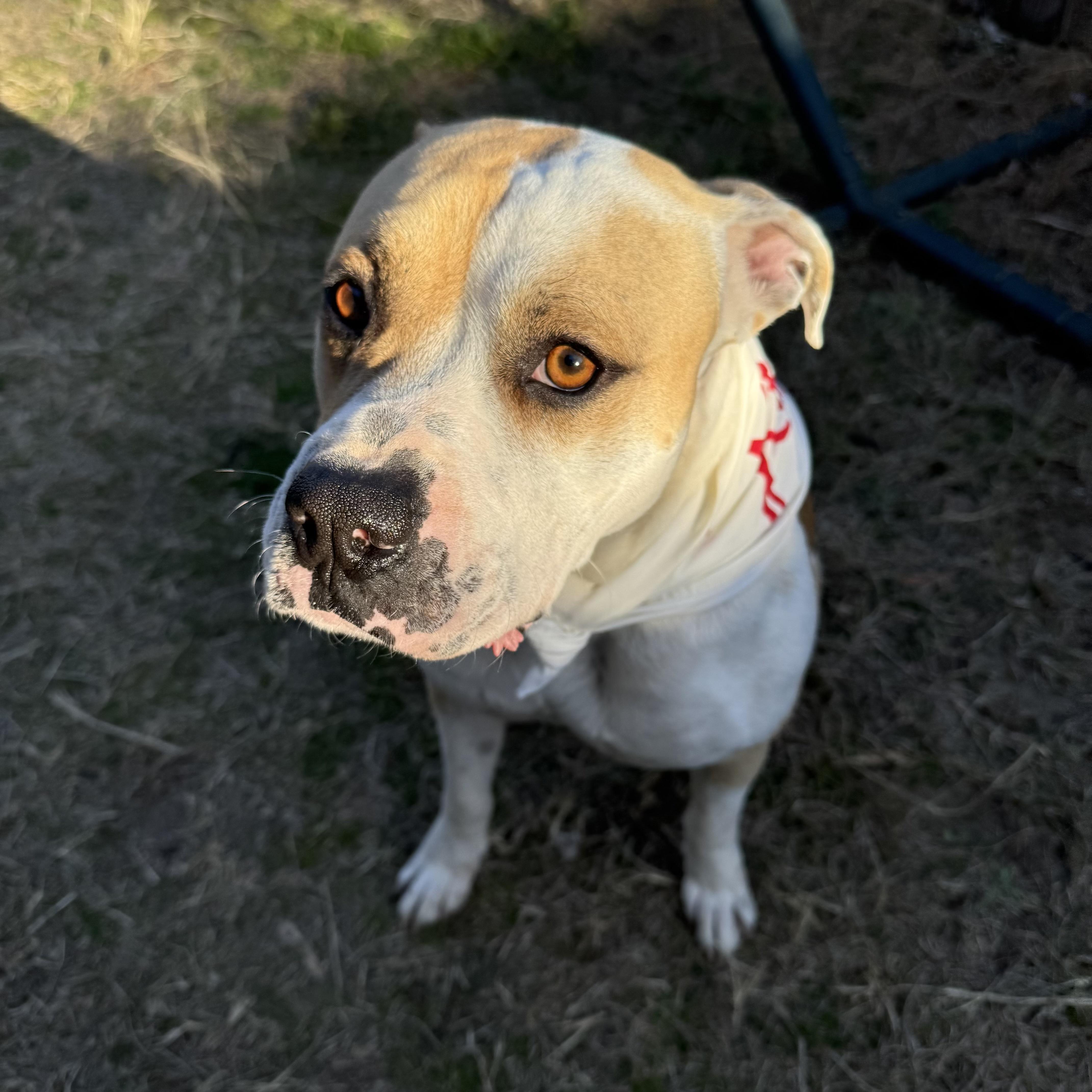 Claude — thumbnail 2