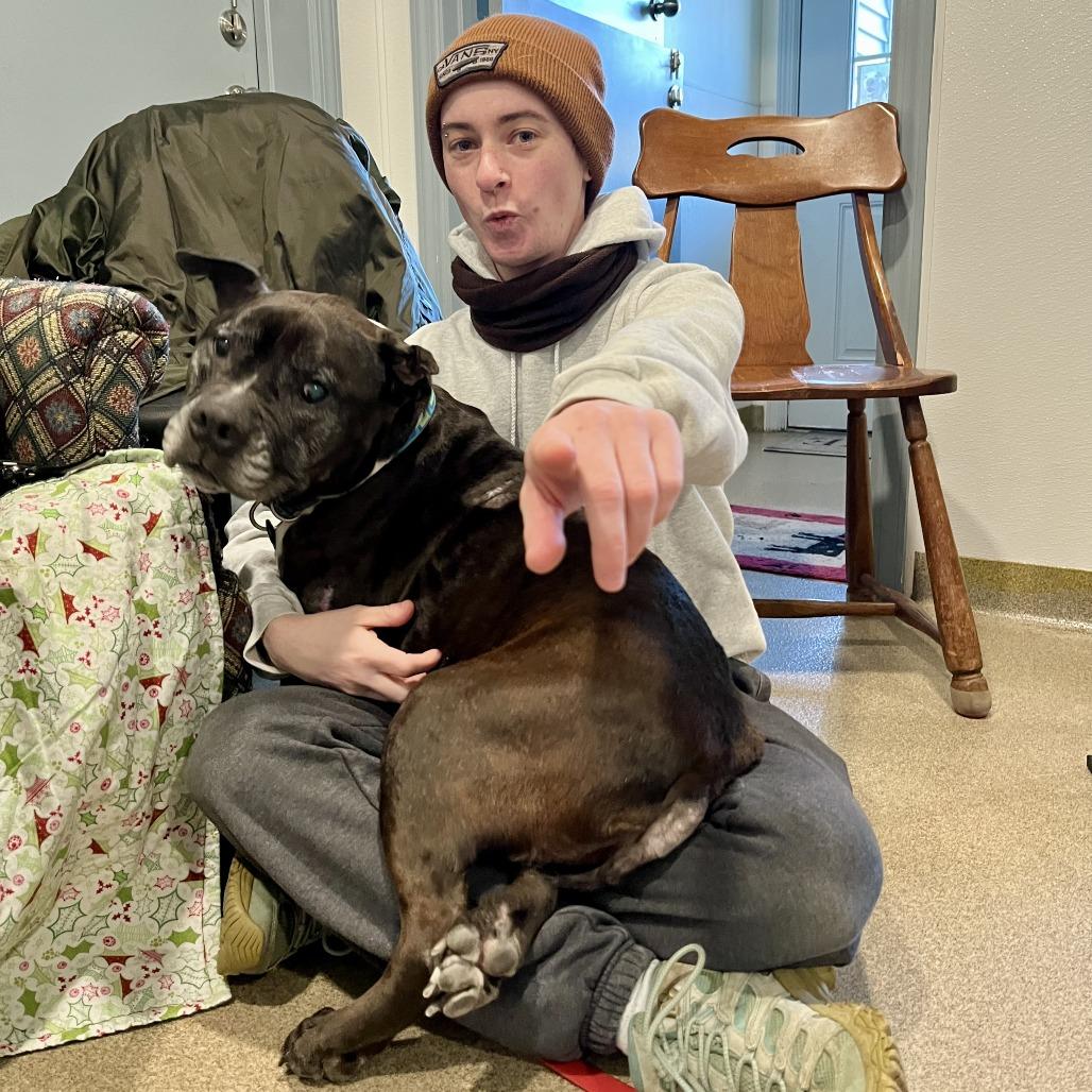 Enlarge Greta, a Adoptable Pit Bull Terrier in Manchester, CT image 2/6