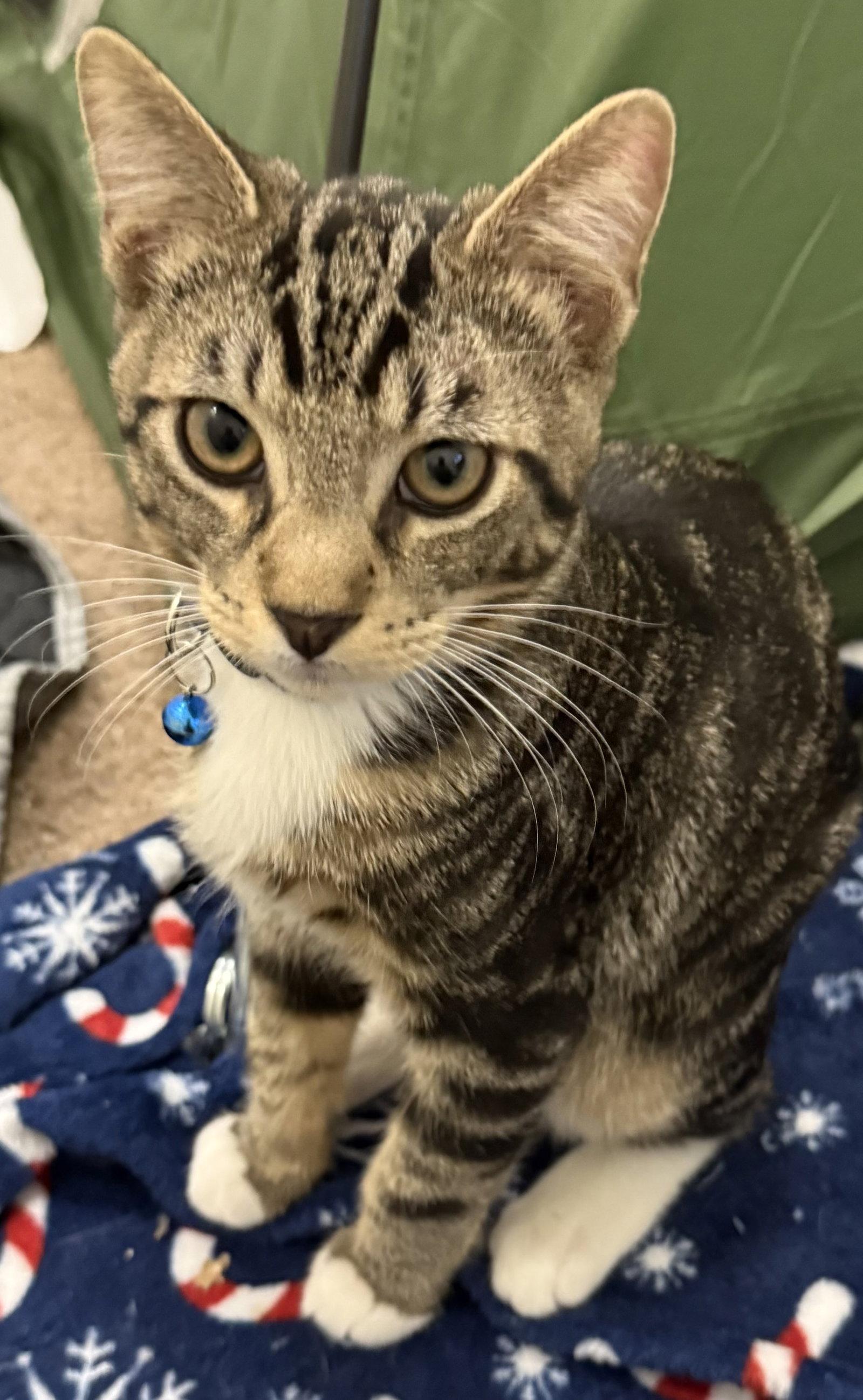 Jasper photo