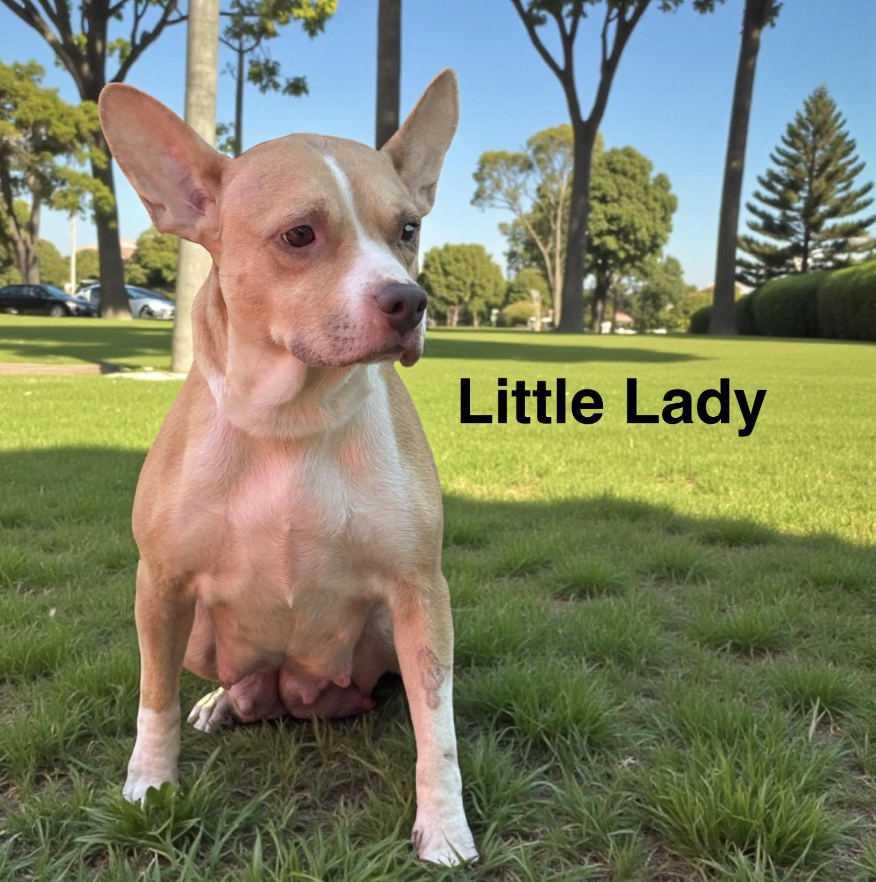 Little lady — thumbnail 3
