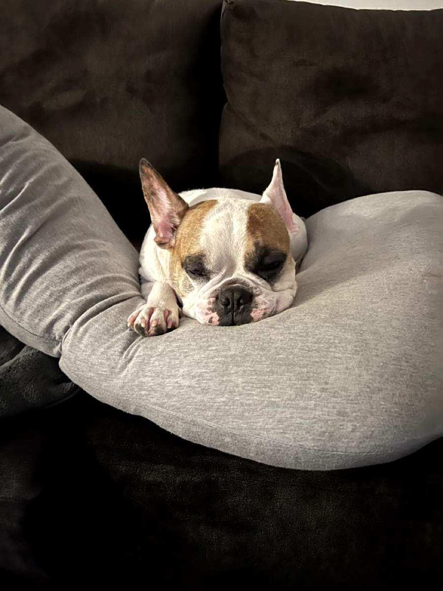 Milo-La Mirada, CA