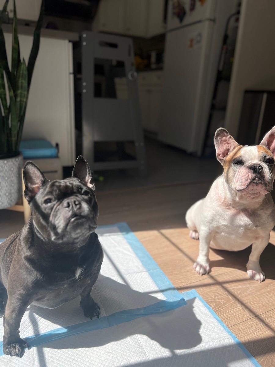 Milo-La Mirada, CA