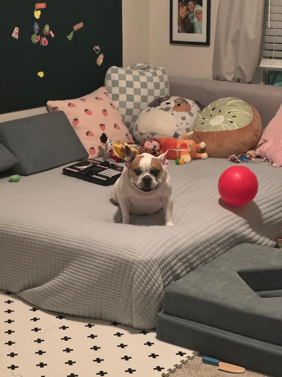 Milo-La Mirada, CA