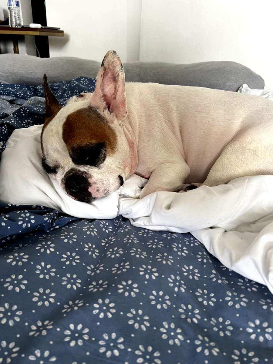 Milo-La Mirada, CA