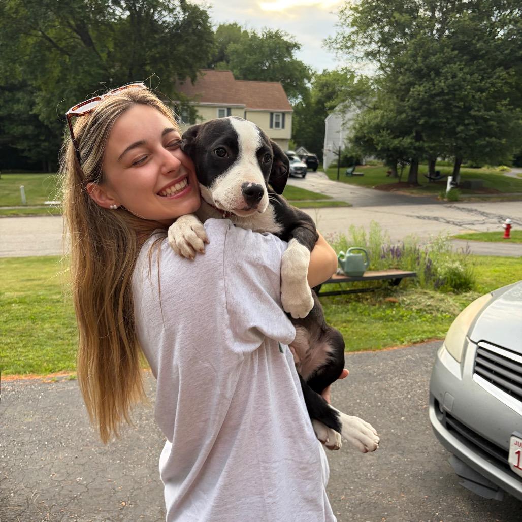 Davey, a Adoptable Mixed Breed in Hopkinton, MA image 5/6