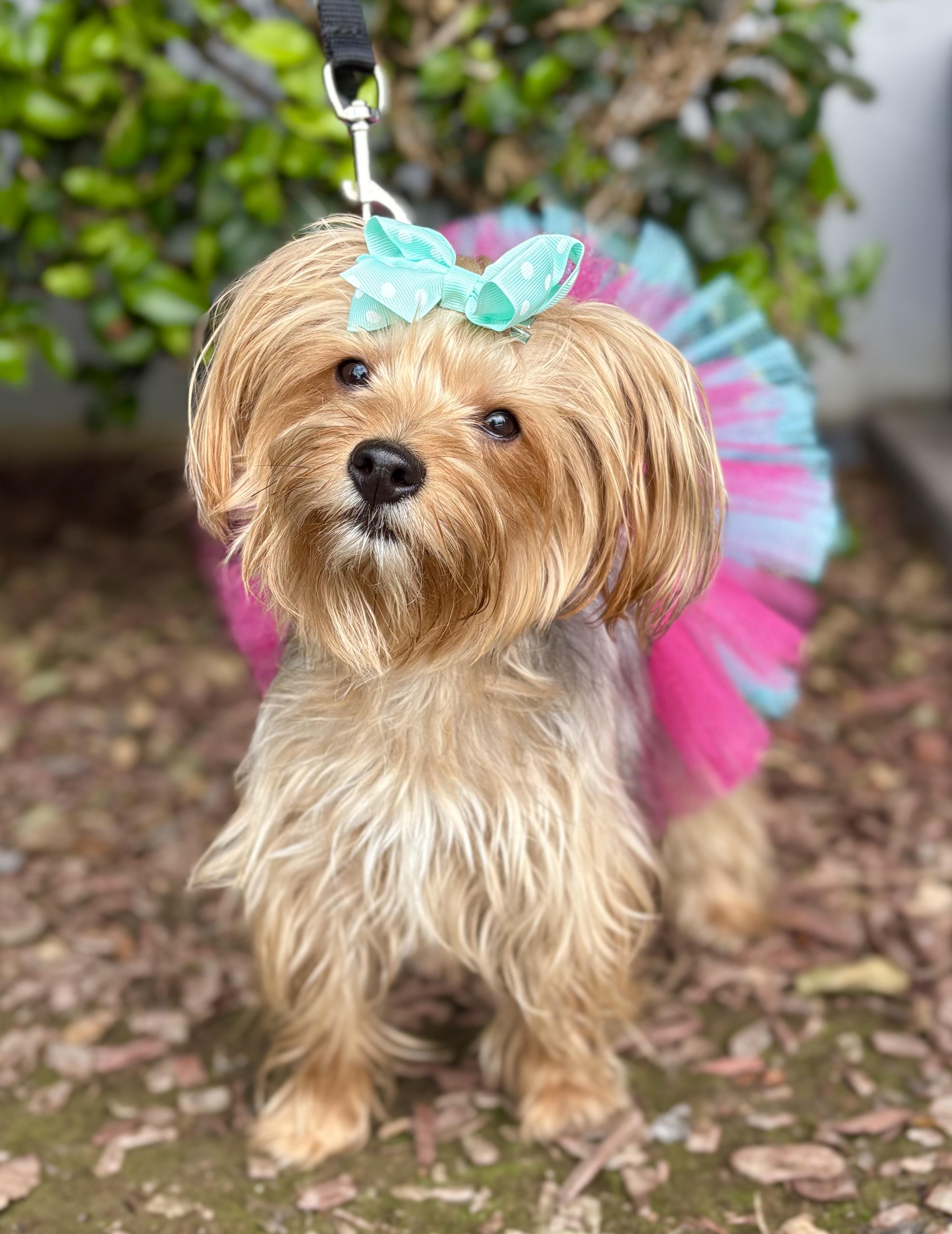 Maggie photo 2