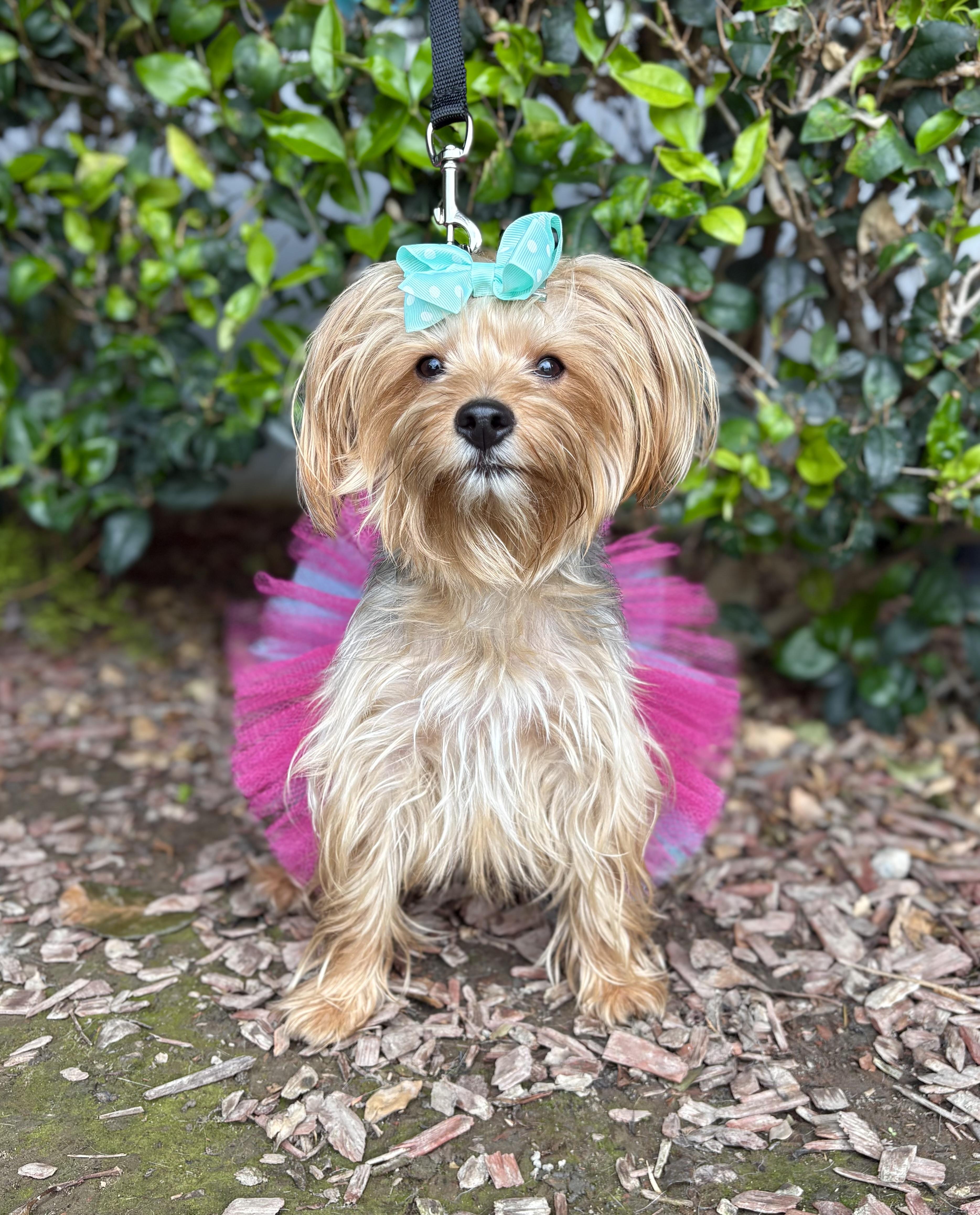 Maggie photo 4