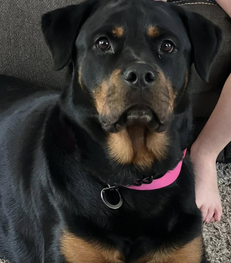 Tilly