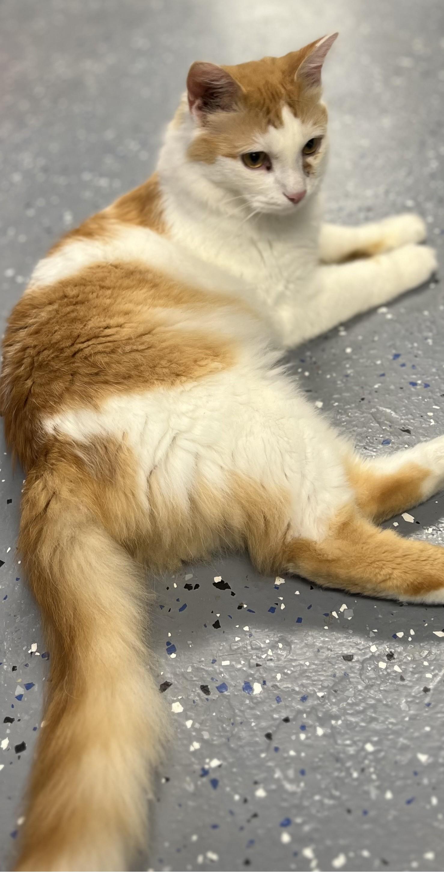 Crockett thumbnail 3