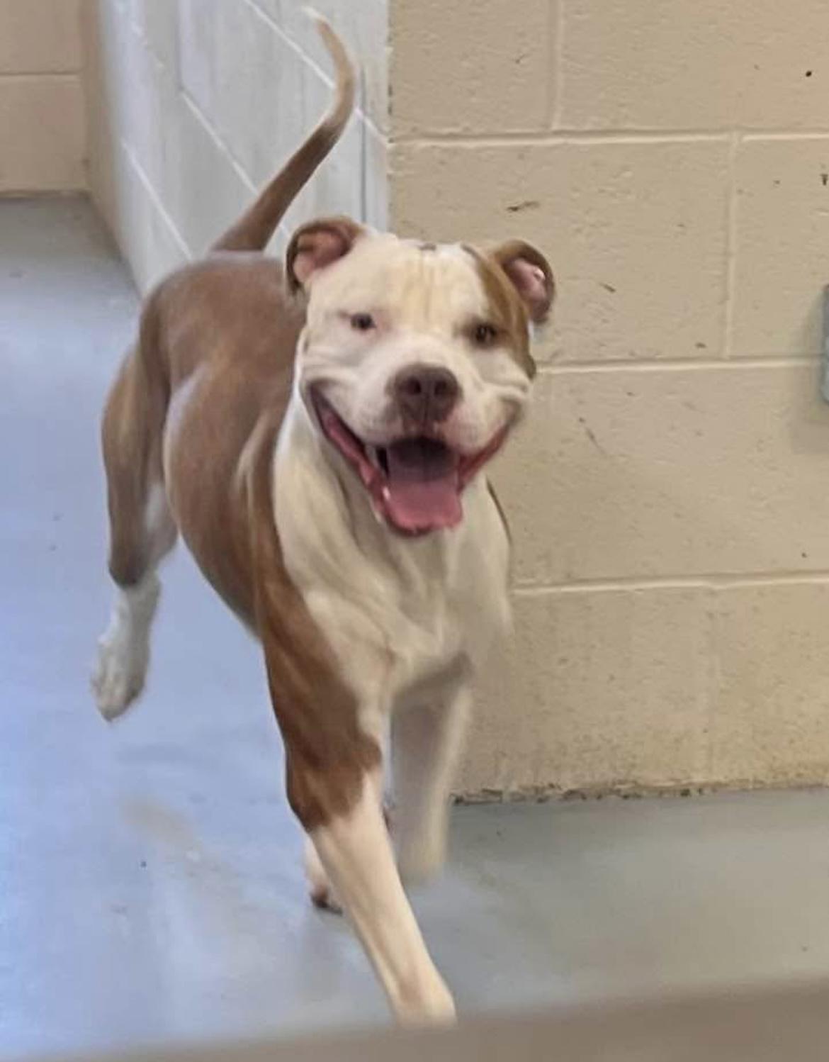 Roscoe