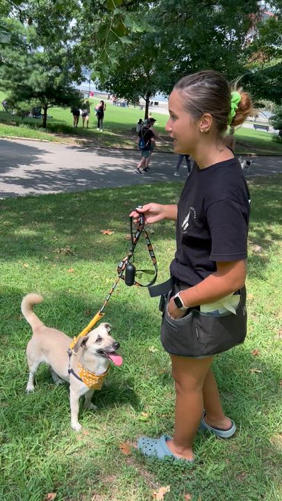 Enlarge Crystal, a Adopted Mixed Breed in Amherst , MA video 5/6