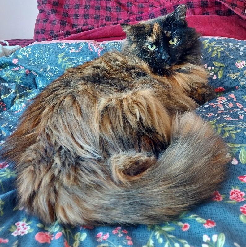 Adriana — thumbnail 2