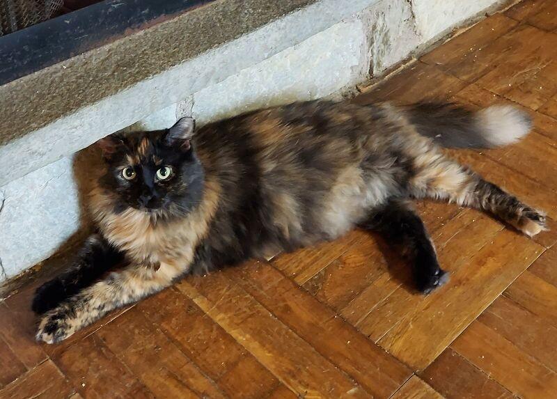 Adriana — thumbnail 4