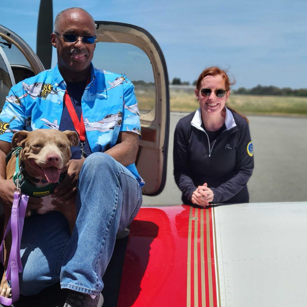 Sandy, a Adoptable Mixed Breed in San Francisco, CA image 2/6