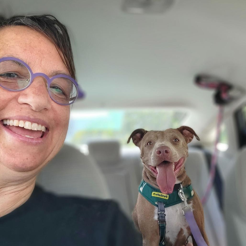 Sandy, a Adoptable Mixed Breed in San Francisco, CA image 6/6