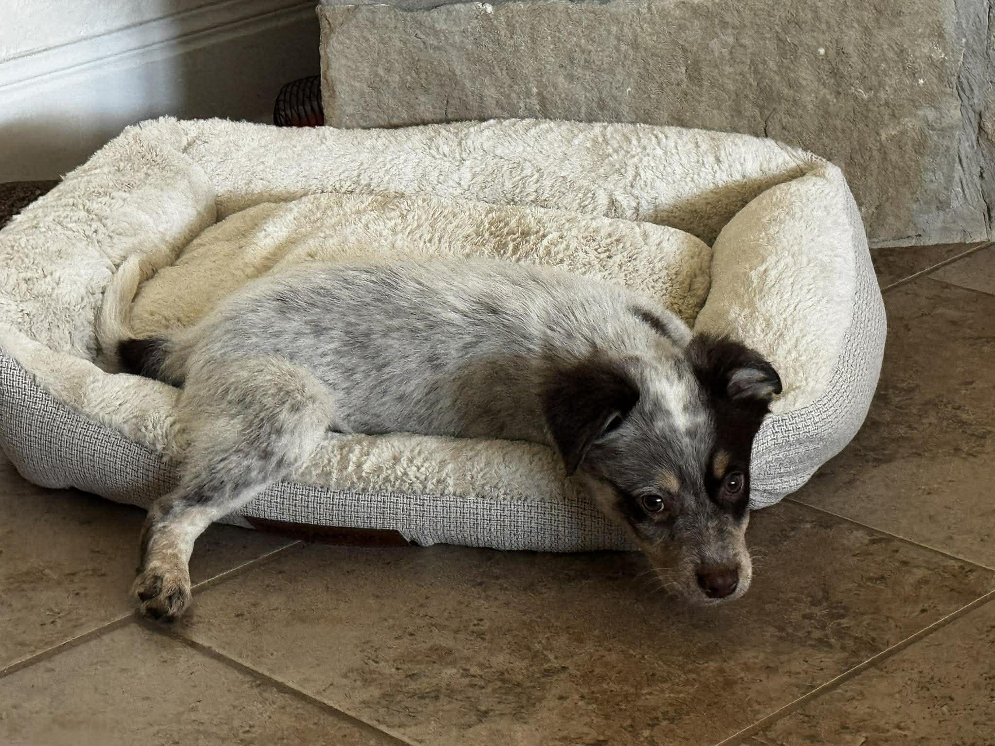 Jack — thumbnail 5