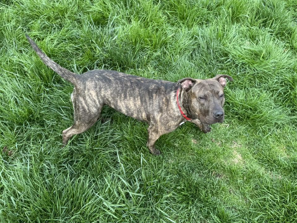 Phoebe Weeby photo 2