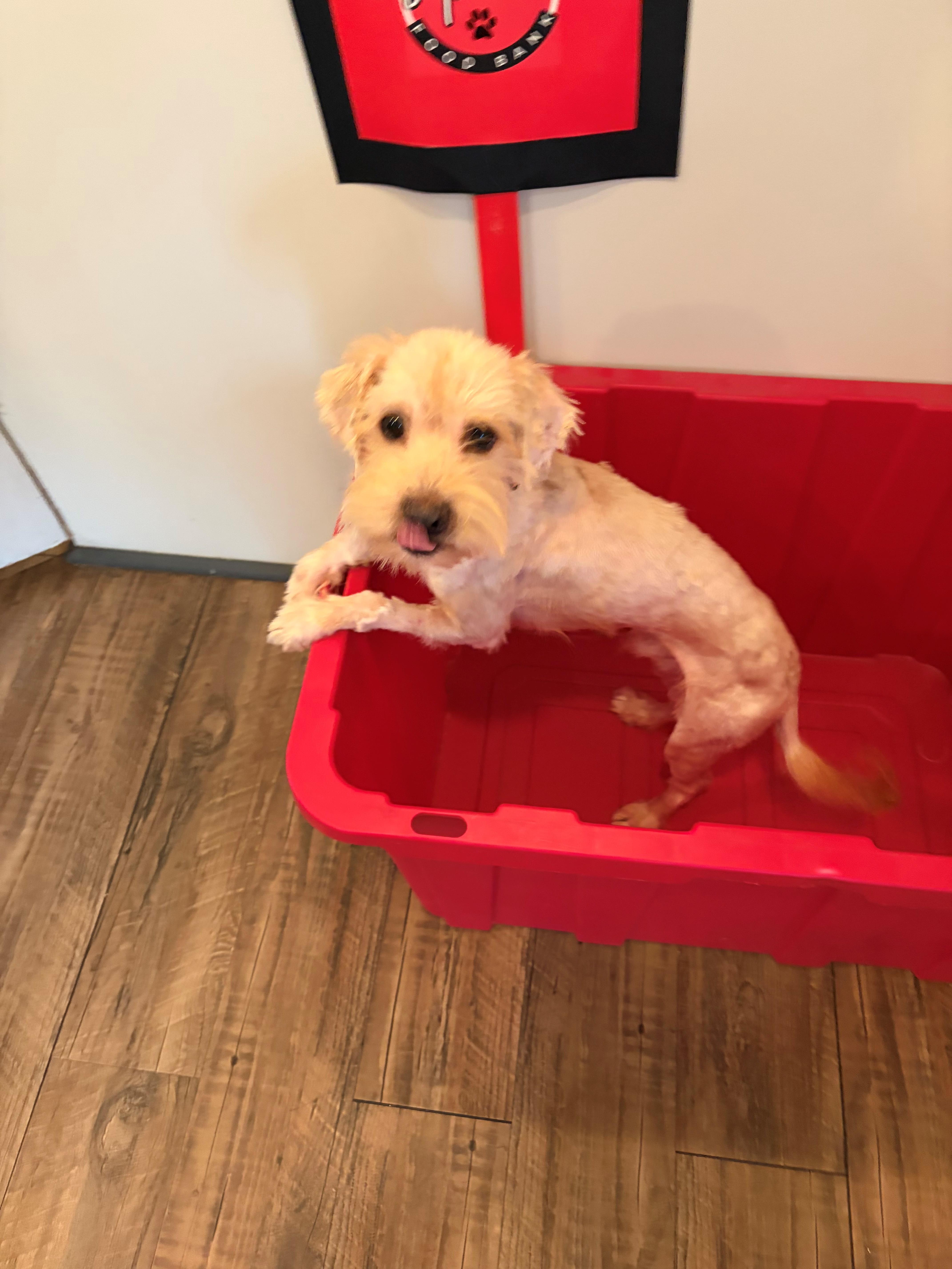 Boonebig Time Love In thumbnail 2