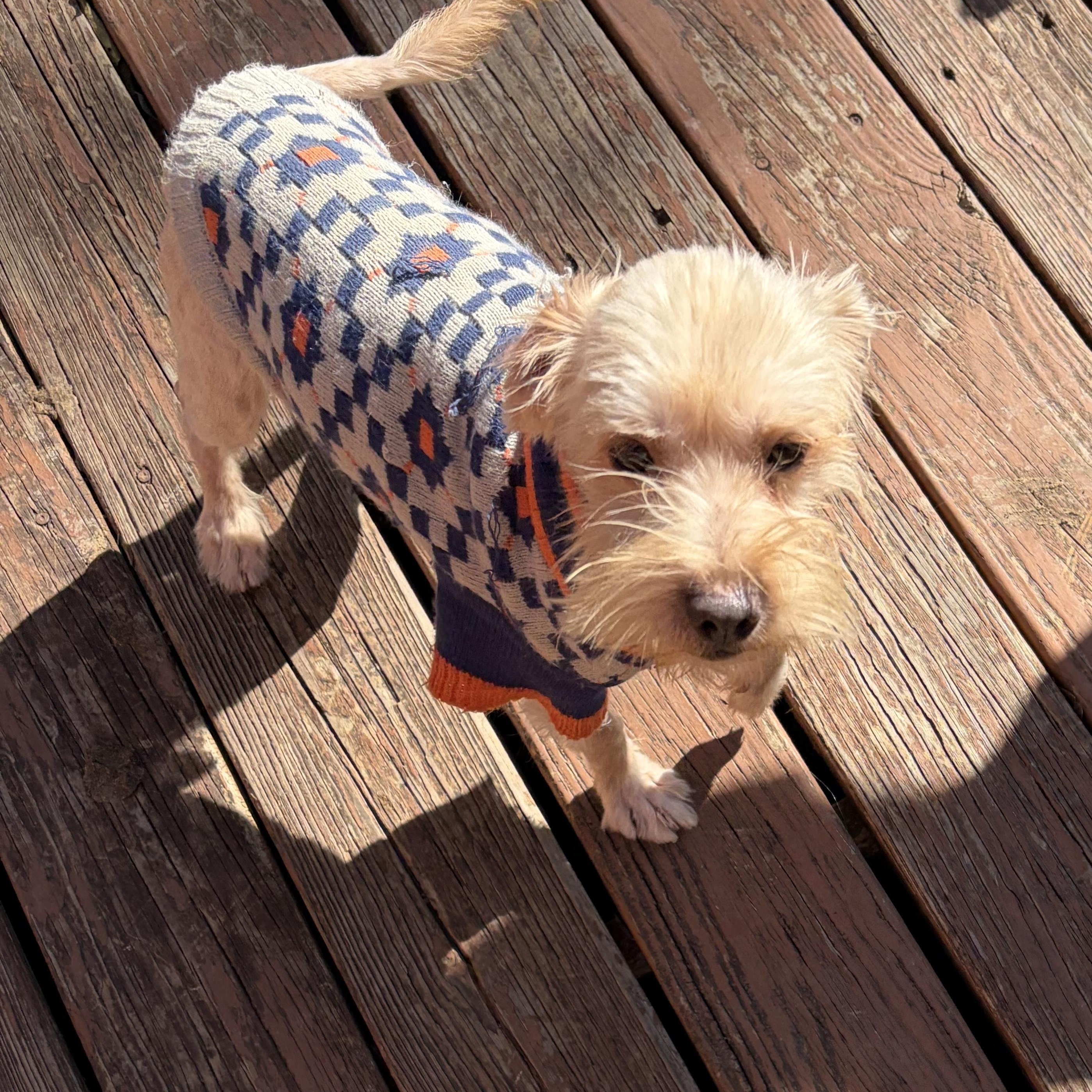 Boonebig Time Love In thumbnail 3